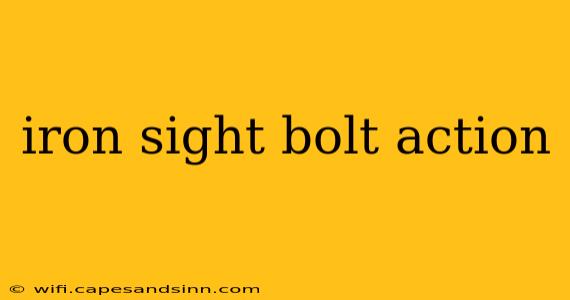 iron sight bolt action