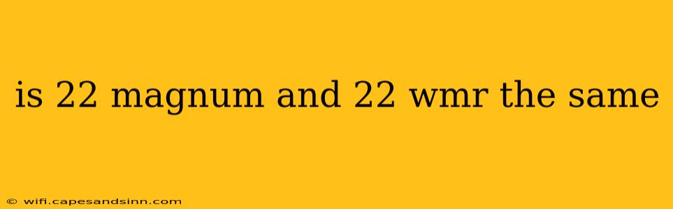 is 22 magnum and 22 wmr the same