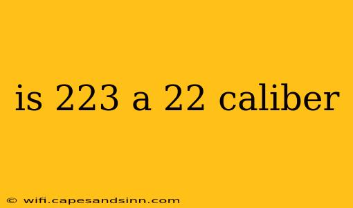 is 223 a 22 caliber