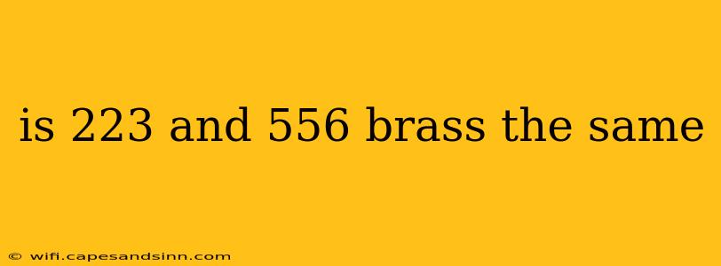 is 223 and 556 brass the same