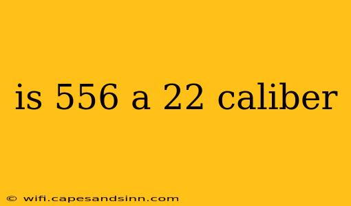 is 556 a 22 caliber