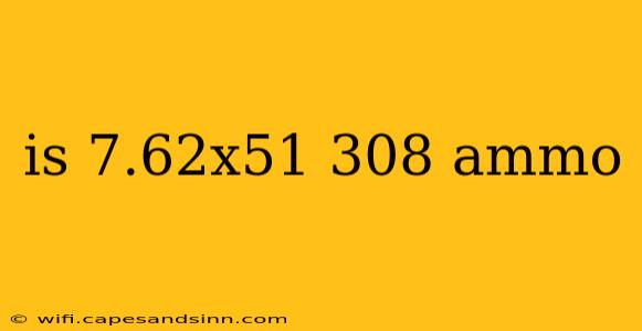 is 7.62x51 308 ammo