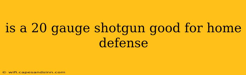 is a 20 gauge shotgun good for home defense