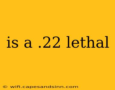 is a .22 lethal