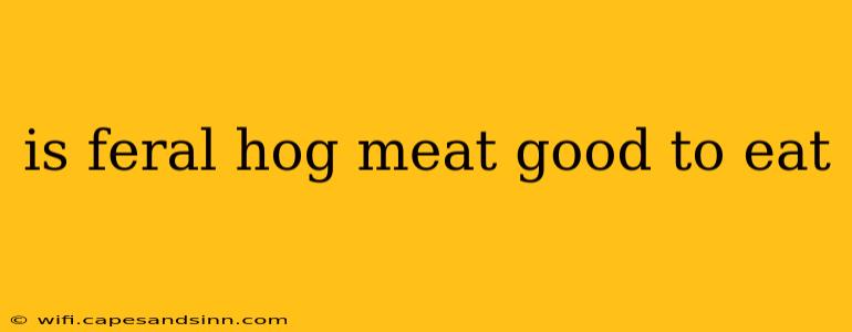 is feral hog meat good to eat