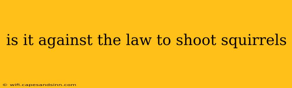 is it against the law to shoot squirrels