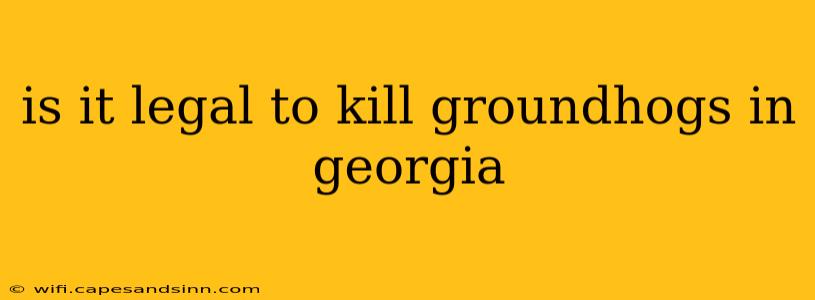 is it legal to kill groundhogs in georgia