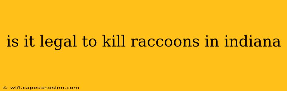 is it legal to kill raccoons in indiana