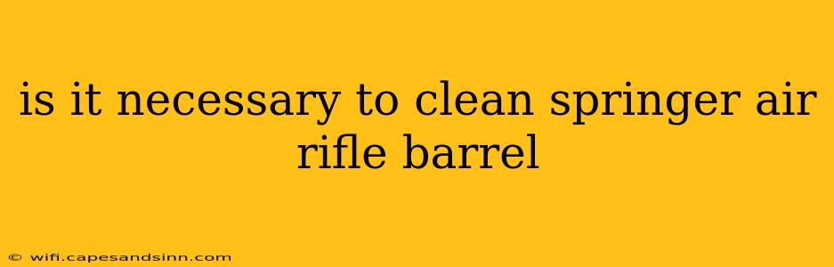 is it necessary to clean springer air rifle barrel