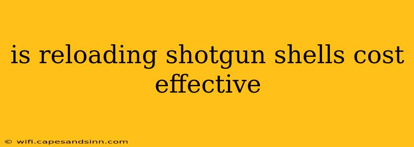 is reloading shotgun shells cost effective