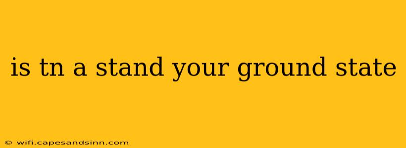 is tn a stand your ground state