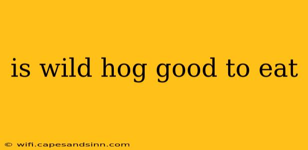 is wild hog good to eat