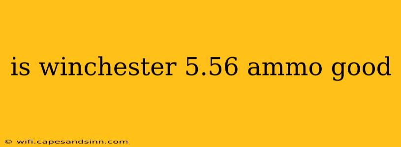 is winchester 5.56 ammo good