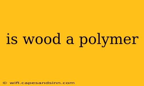 is wood a polymer