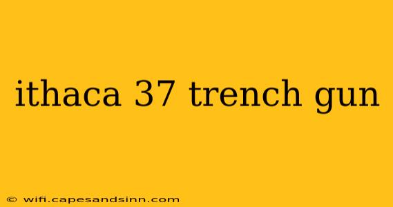 ithaca 37 trench gun