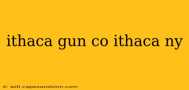 ithaca gun co ithaca ny