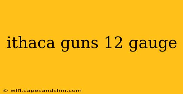 ithaca guns 12 gauge