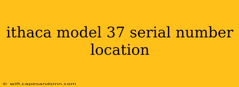 ithaca model 37 serial number location