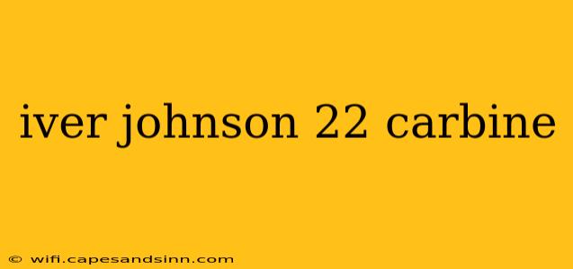 iver johnson 22 carbine