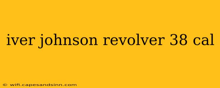 iver johnson revolver 38 cal