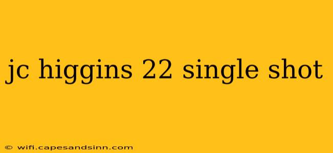 jc higgins 22 single shot