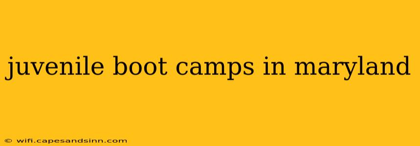 juvenile boot camps in maryland