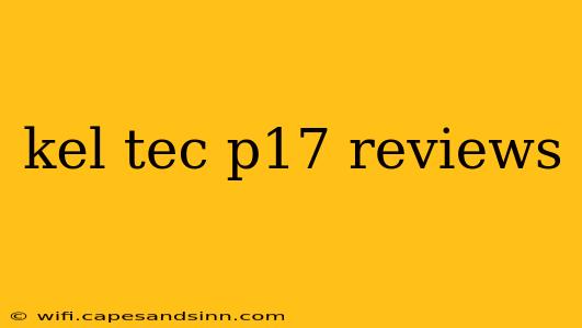 kel tec p17 reviews