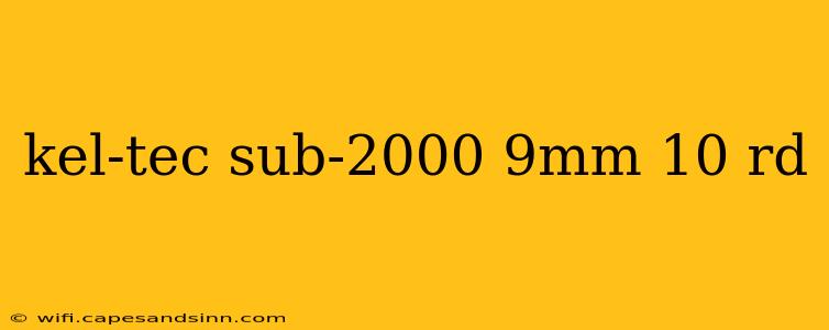 kel-tec sub-2000 9mm 10 rd