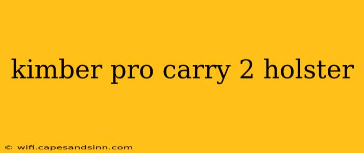 kimber pro carry 2 holster