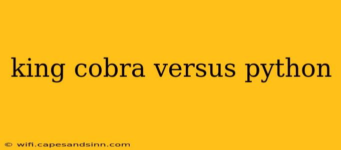 king cobra versus python