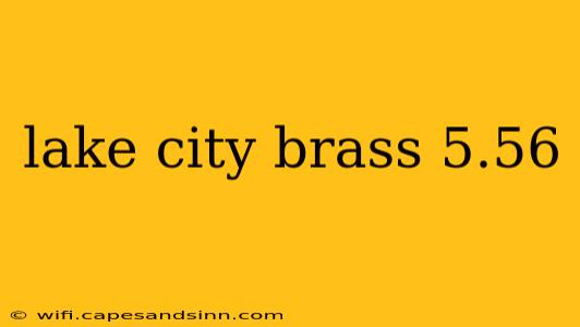 lake city brass 5.56