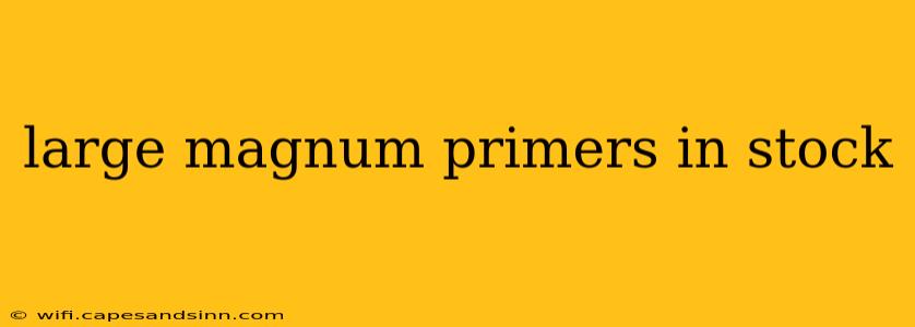 large magnum primers in stock