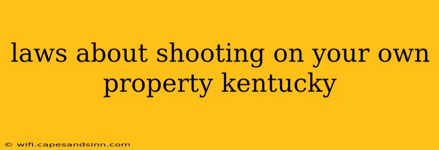 laws about shooting on your own property kentucky