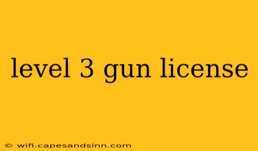 level 3 gun license