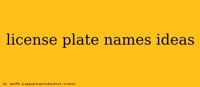 license plate names ideas