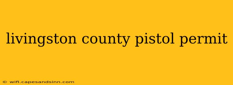 livingston county pistol permit