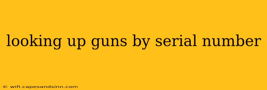 looking up guns by serial number