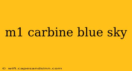 m1 carbine blue sky