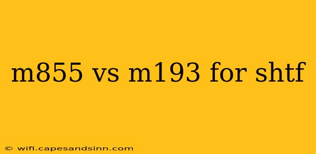 m855 vs m193 for shtf