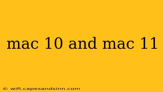 mac 10 and mac 11