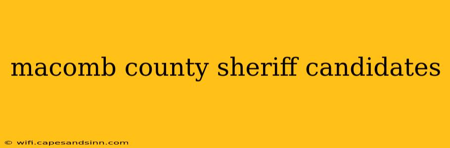 macomb county sheriff candidates