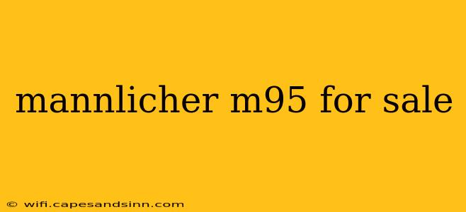 mannlicher m95 for sale