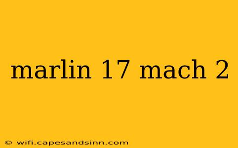 marlin 17 mach 2