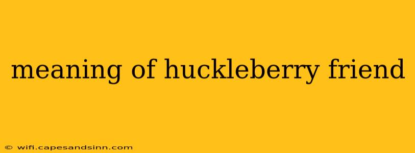 meaning of huckleberry friend