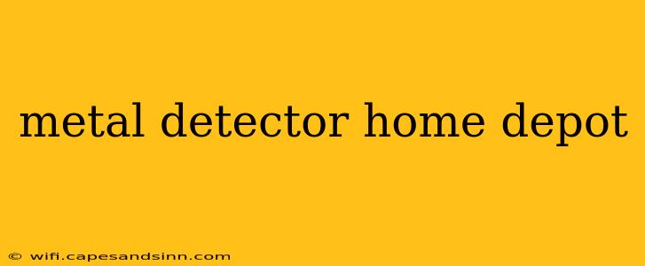 metal detector home depot