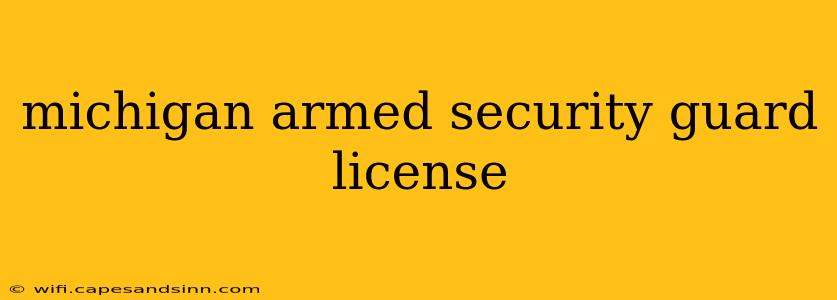 michigan armed security guard license