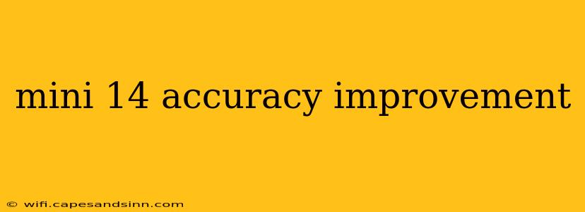 mini 14 accuracy improvement