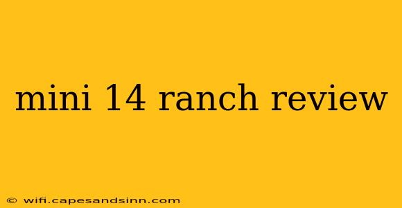 mini 14 ranch review