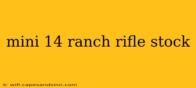 mini 14 ranch rifle stock