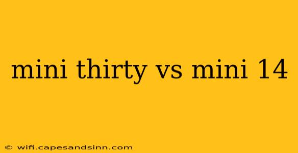 mini thirty vs mini 14